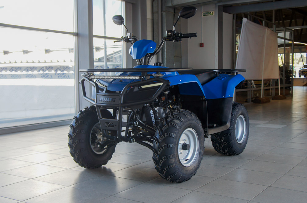Irbis Atv 200 - изображение 3
