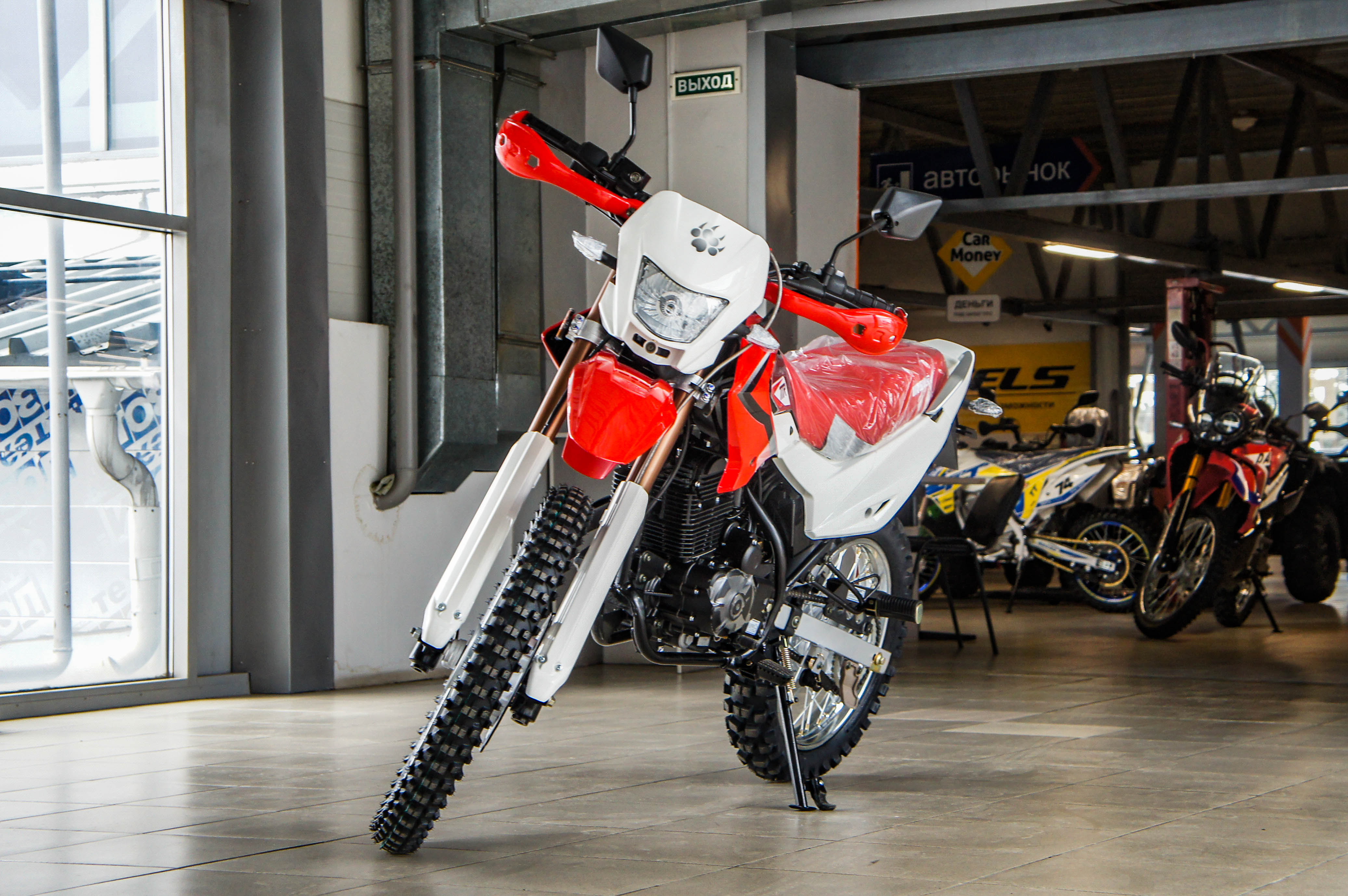 Irbis Ttr250r - изображение 4