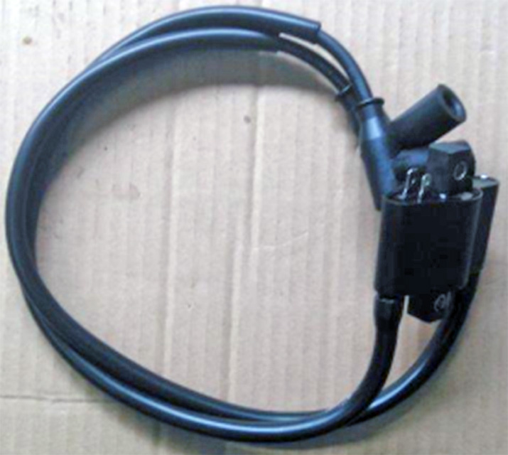 Катушка Зажигания В Сборе, 12В (33100-E06b-0002)