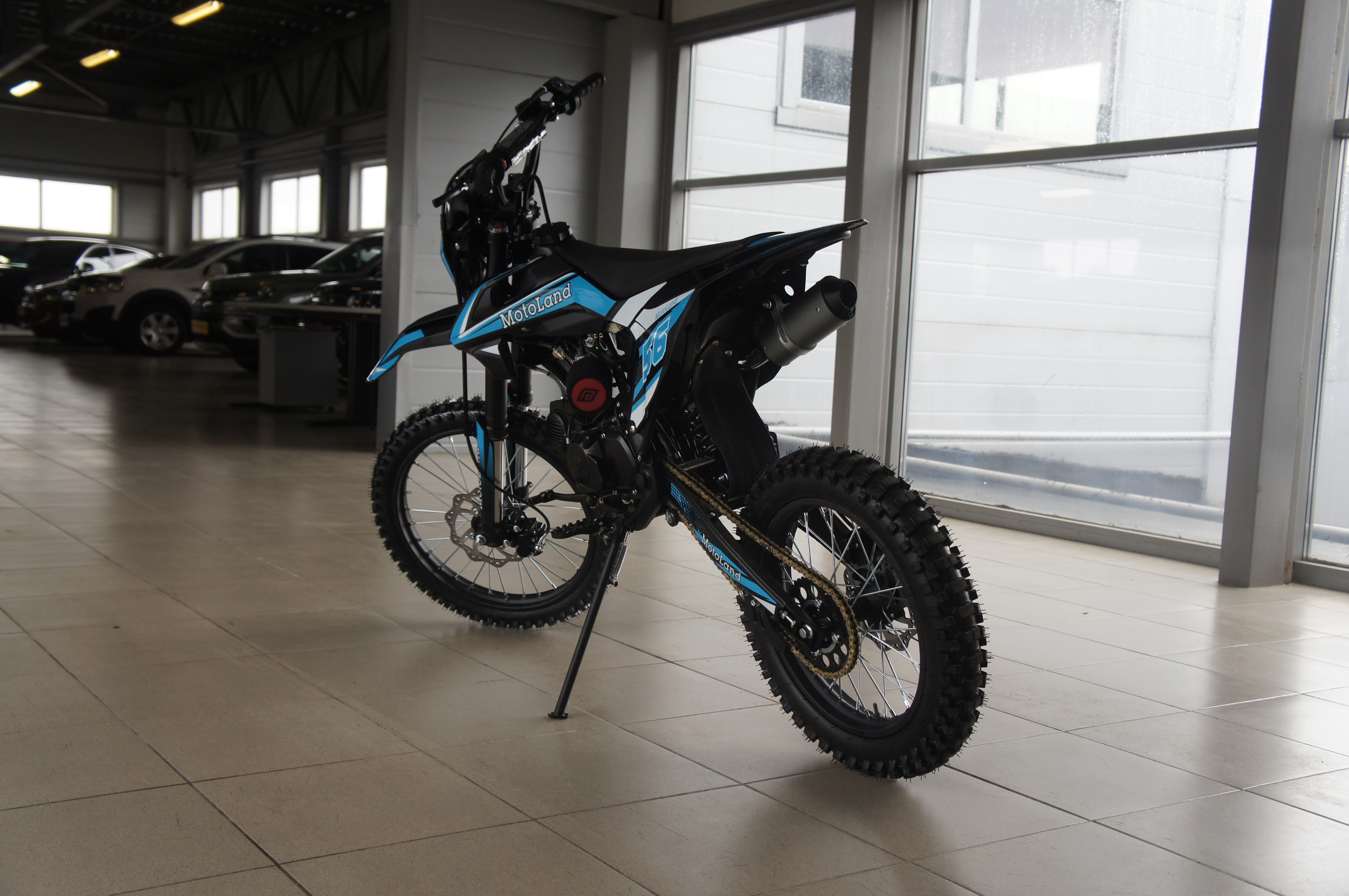 Alpha Alpha 2020 - изображение 4